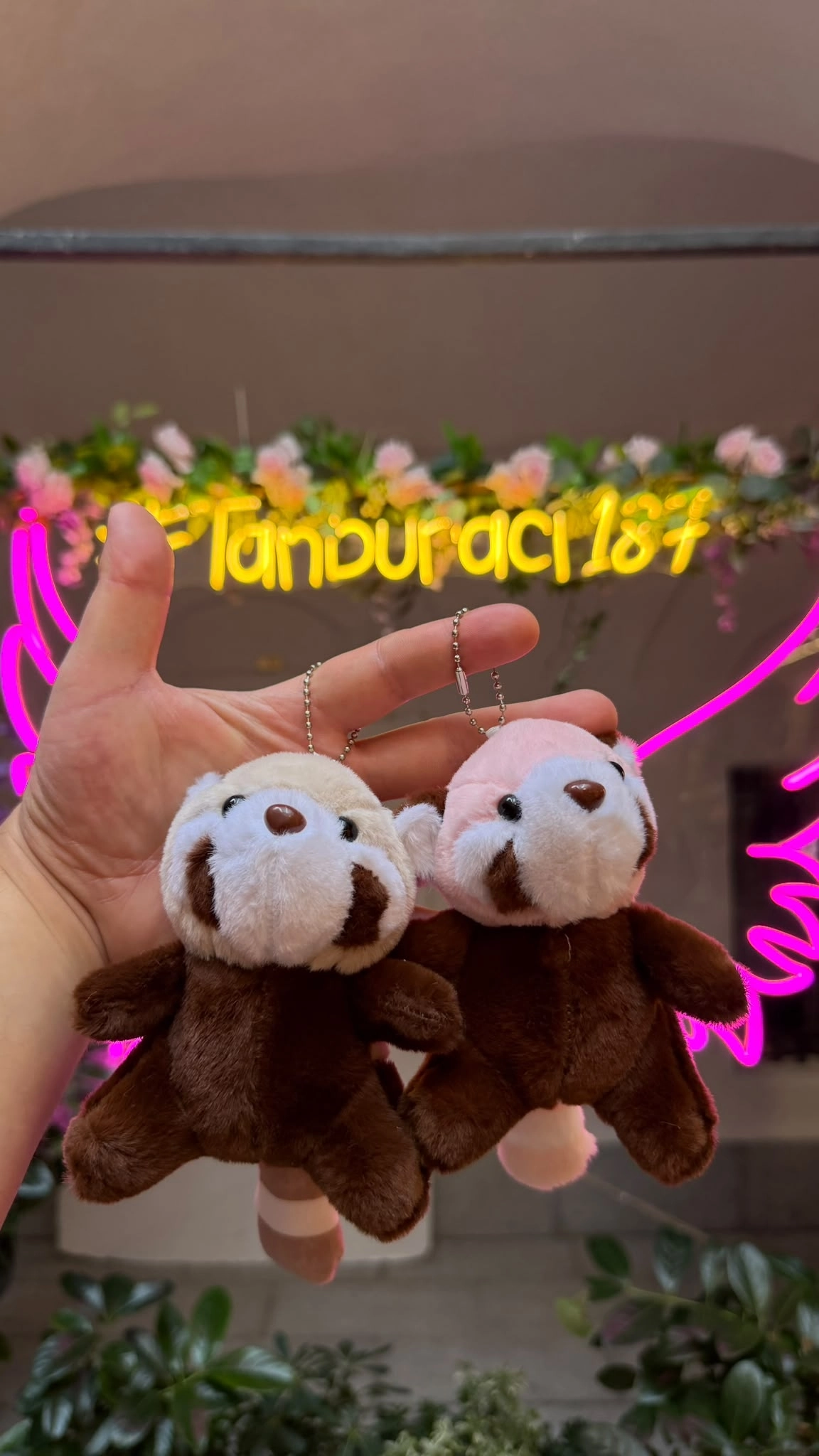 Peluş Rakun Anahtarlık 12’li Paket | Toptan Peluş Anahtarlık